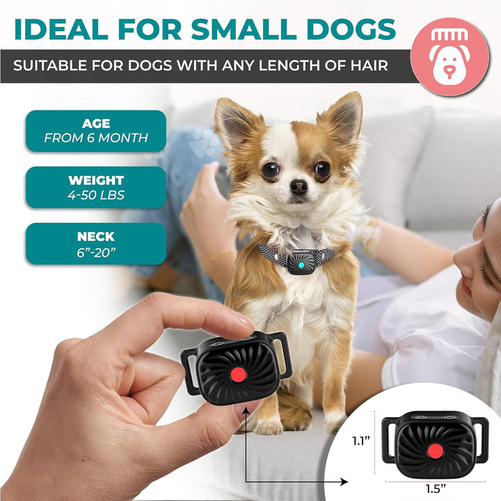 Lenny | Bellstopp-Halsband – Entspannter Alltag für Kleine Hunde