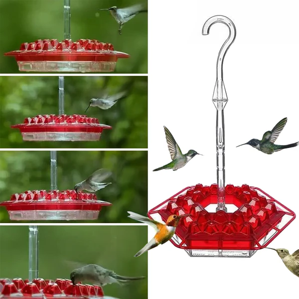 Ameisensicheres Kolibri-Feeder mit 30 bienenresistenten Anschlüssen 0