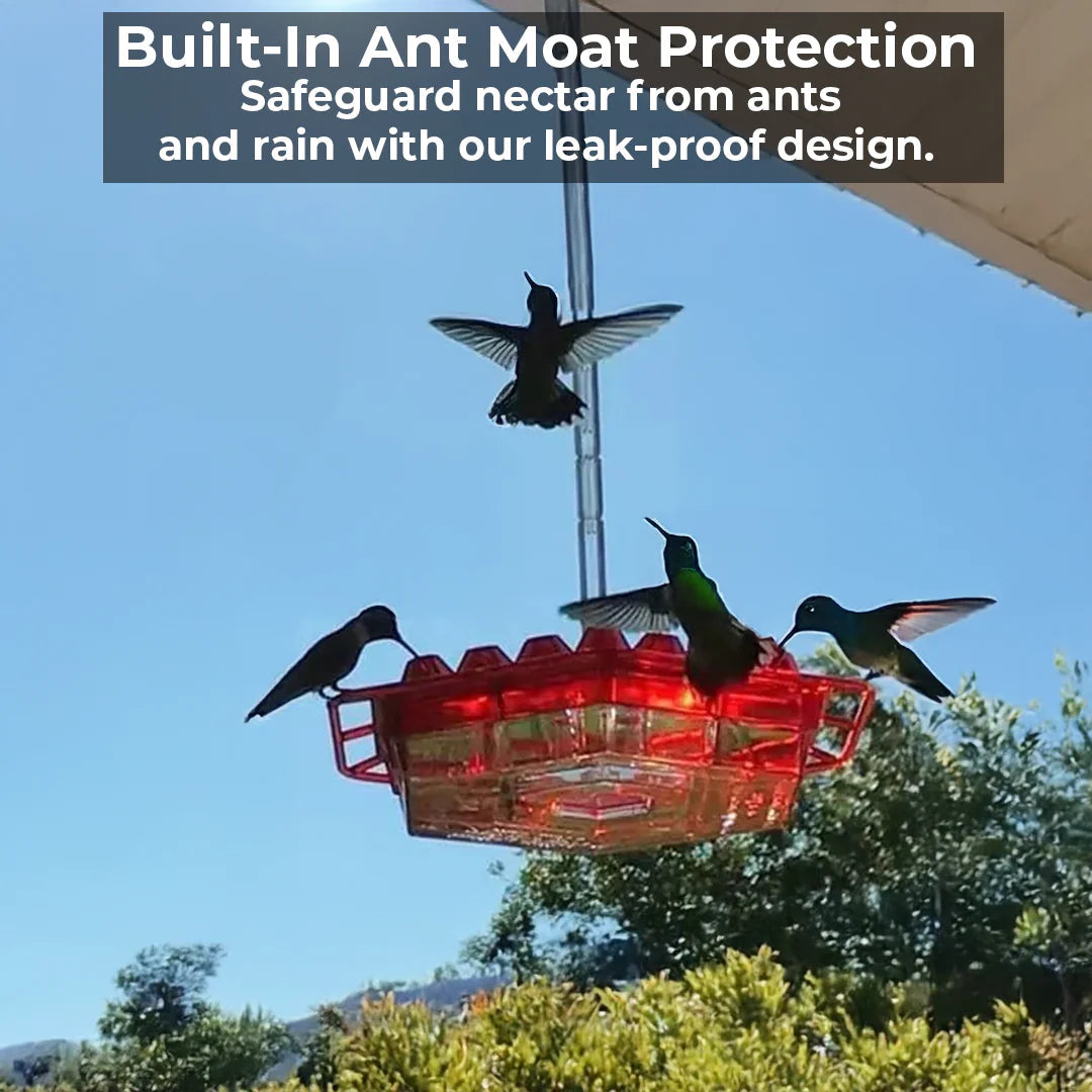 Ameisensicheres Kolibri-Feeder mit 30 bienenresistenten Anschlüssen 4