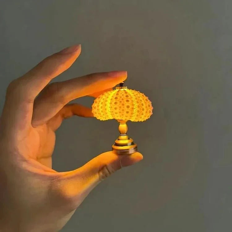 DIY zee-egel nachtlampje 0