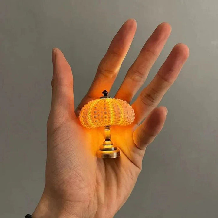 DIY zee-egel nachtlampje 2