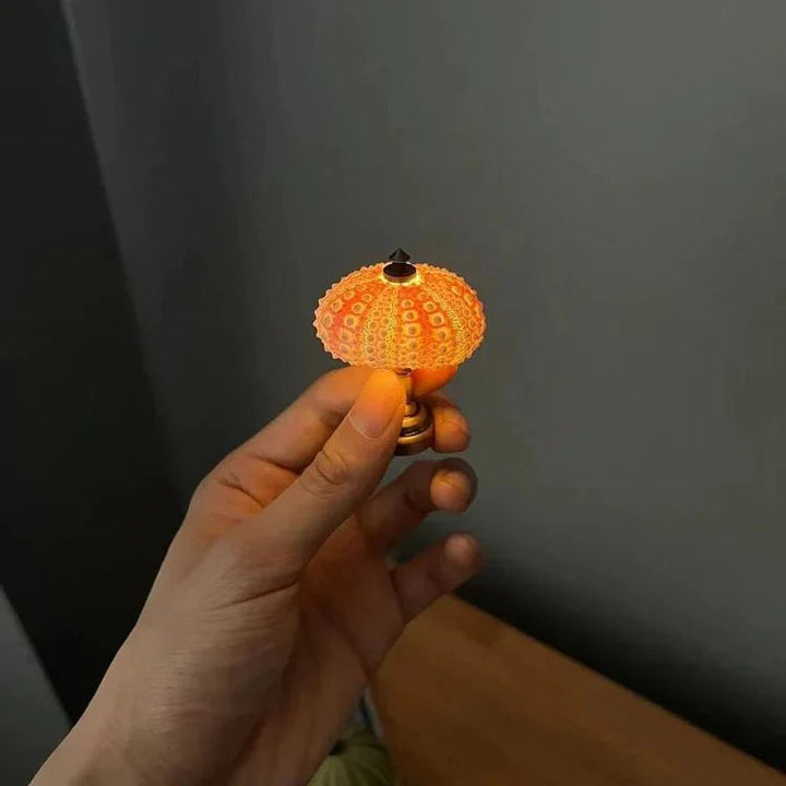 DIY zee-egel nachtlampje 3