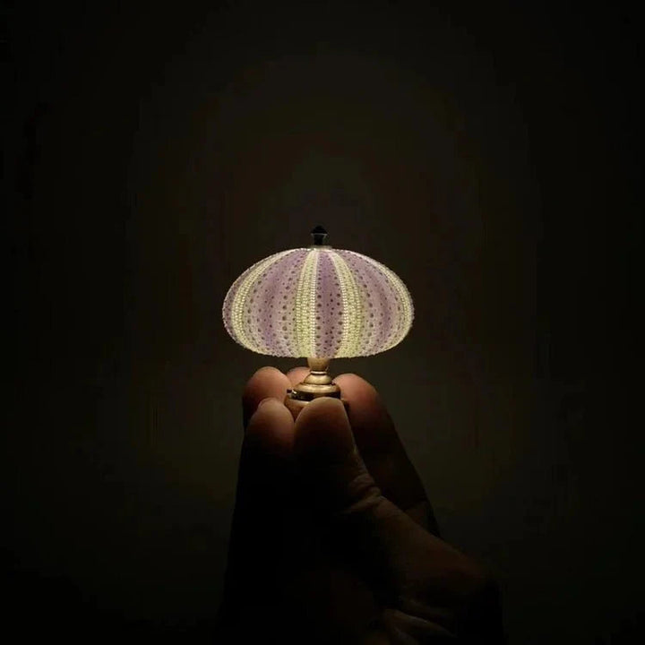 DIY zee-egel nachtlampje 5