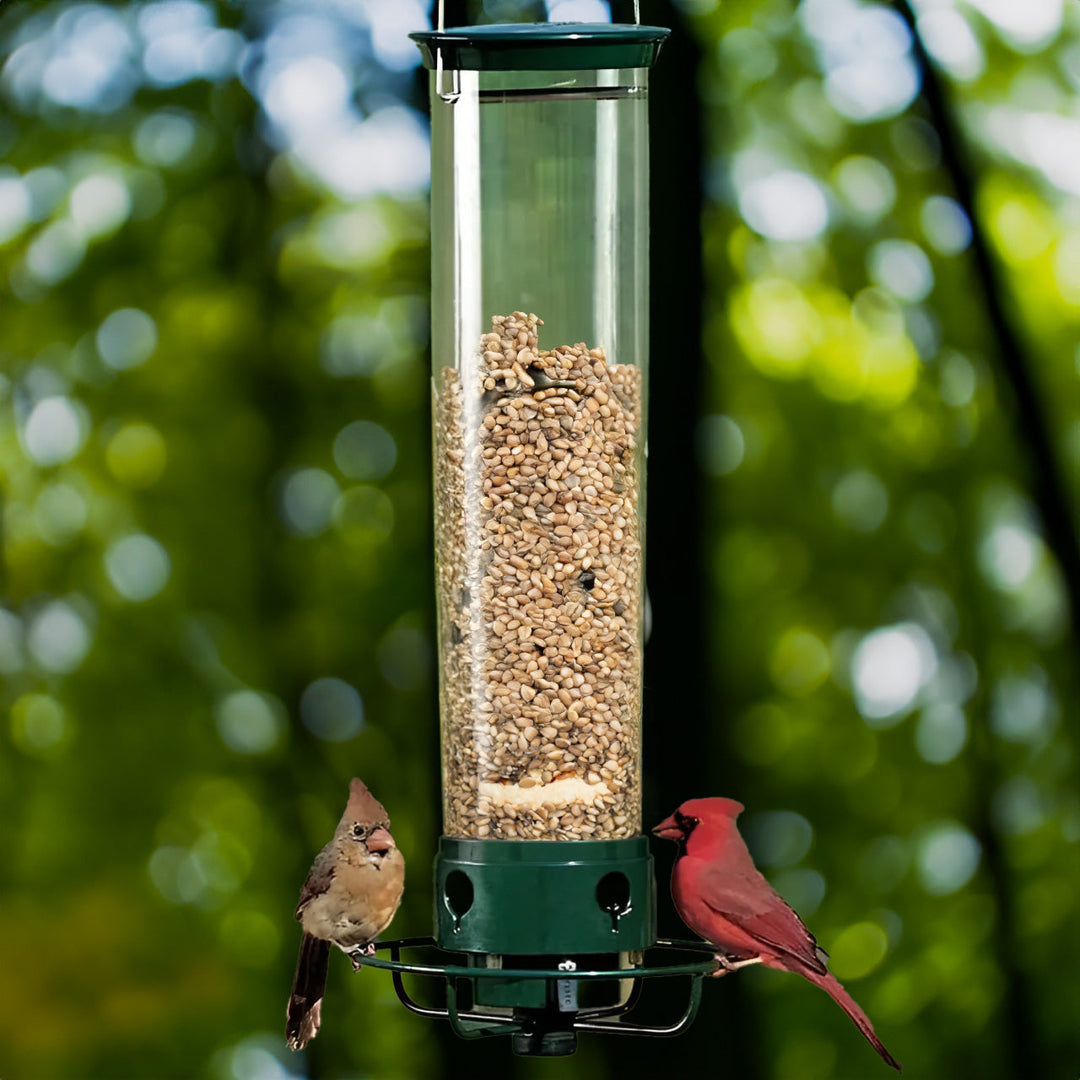 Eichhörnchen -Proof -Vogelhäuschen 0