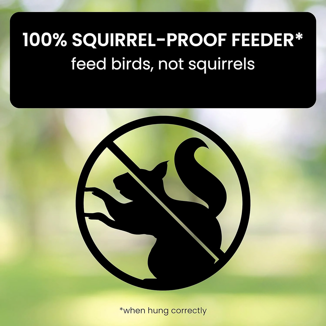 Eichhörnchen -Proof -Vogelhäuschen 1