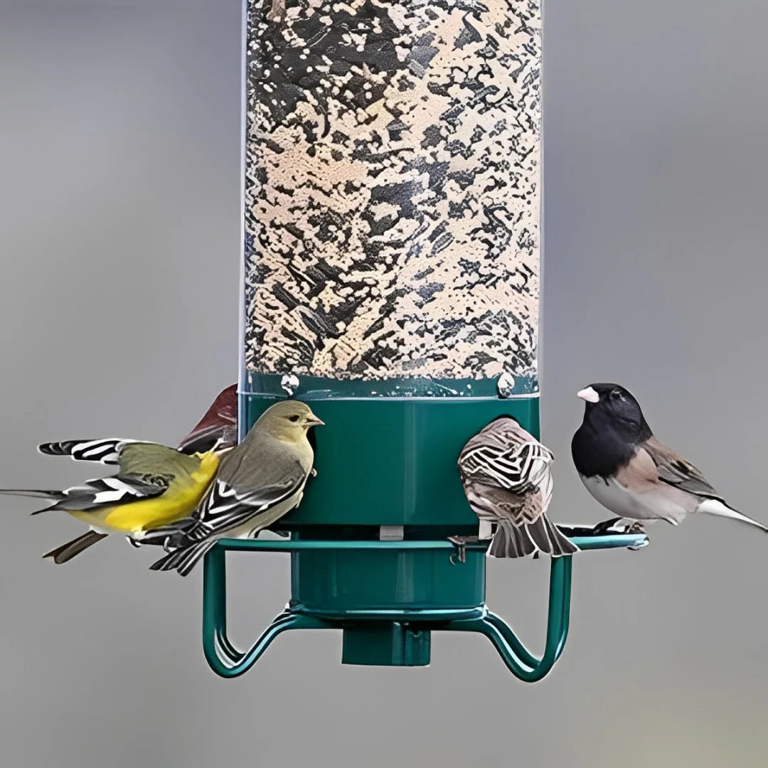 Eichhörnchen -Proof -Vogelhäuschen 4