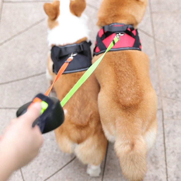 Hunde Doppelleine mit Kotbeutelhalter & LED Licht | LeinenMeister 4