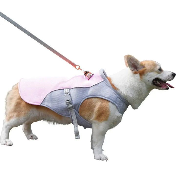 Hundekühlweste für Outdoor-Aktivitäten 0