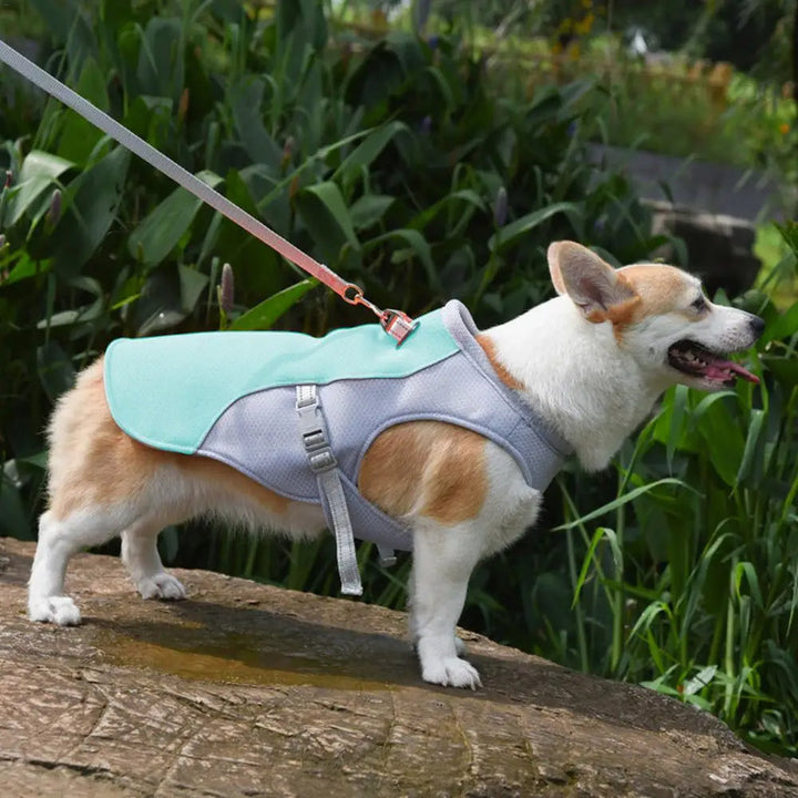 Hundekühlweste für Outdoor-Aktivitäten 2