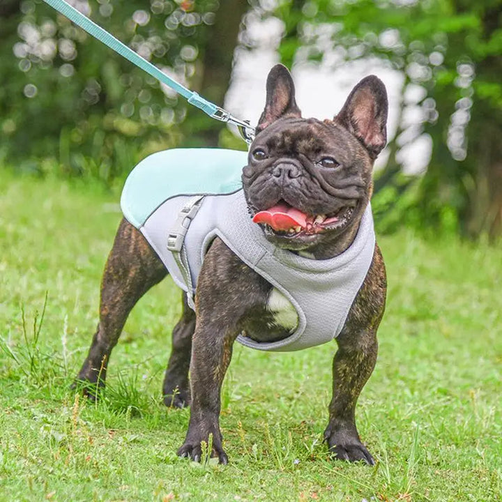 Hundekühlweste für Outdoor-Aktivitäten 4