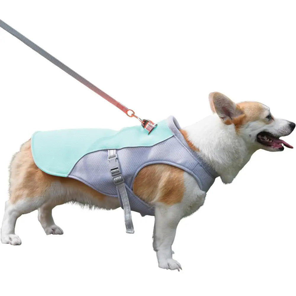 Hundekühlweste für Outdoor-Aktivitäten 7