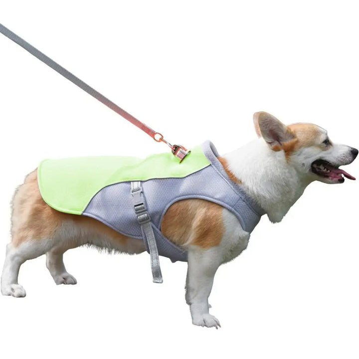 Hundekühlweste für Outdoor-Aktivitäten 8