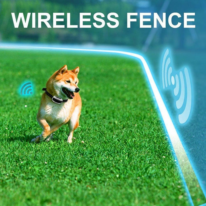 Kabelloses Hundezaunkragensystem - unsichtbar und wasserdicht 3
