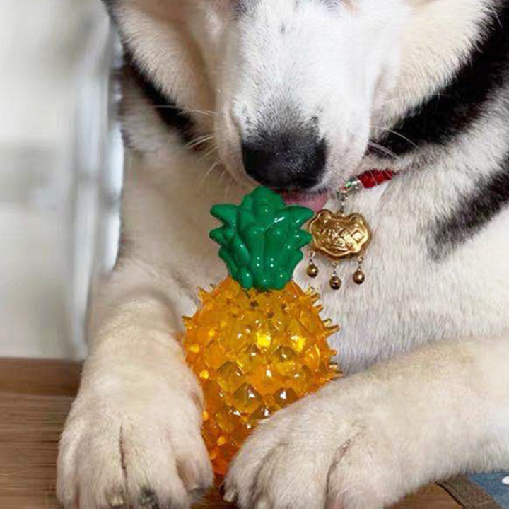 Kühlendes, gefrierbares Sommer-Kauspielzeug für Hunde zum Zahnen 9