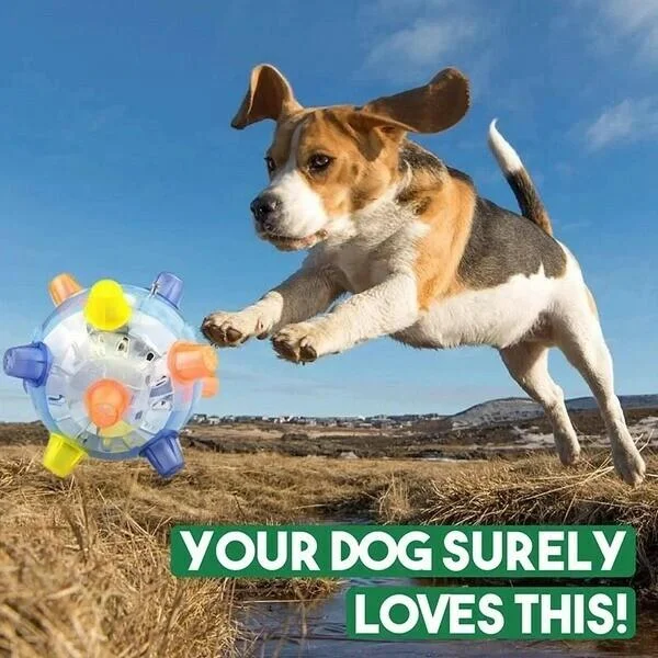 Neue Sprungaktivierungsball für Hunde 2
