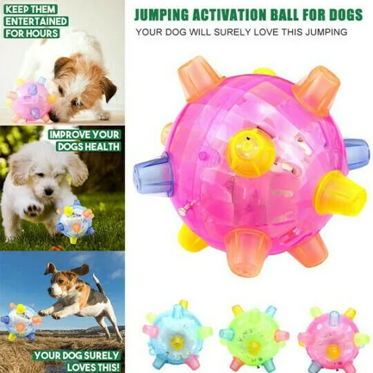 Neue Sprungaktivierungsball für Hunde 6