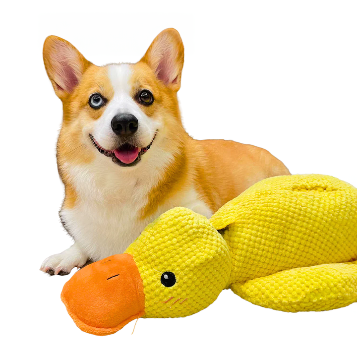 PupSense | Interaktives Plüsch-Hundespielzeug für intelligentes Spielen und Stressabbau 4
