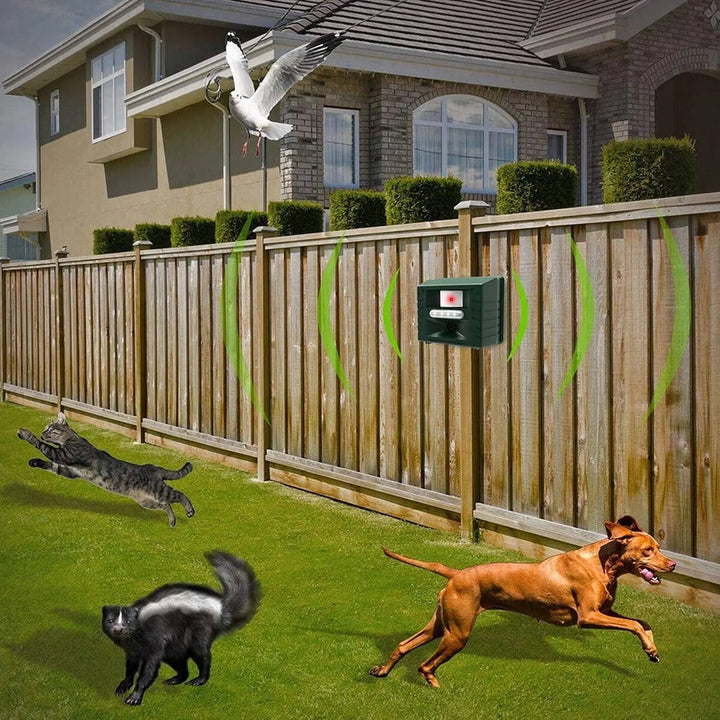 Specht -Ultraschall -Repeller für eine effektive Vogelkontrolle - Werden Sie Spechte los 6