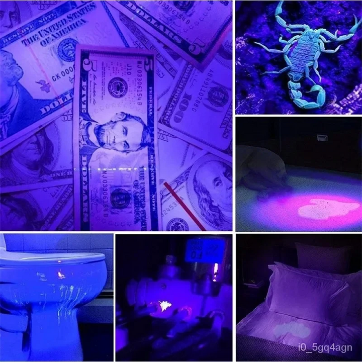 UV-Taschenlampe zur Bettwanzenerkennung und Fleckensuche 2